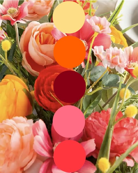 Watermelon Wedding Color, Orange Wedding Pallet, Pink And Orange Wedding Palette, Red Pink Orange Yellow Color Palette, Spring Sunset Wedding Colors, Bridesmaids Color Palette Summer, Pink Red Yellow Color Palette, Sunset Colour Palette Wedding, Sunset Colors Wedding Aesthetic