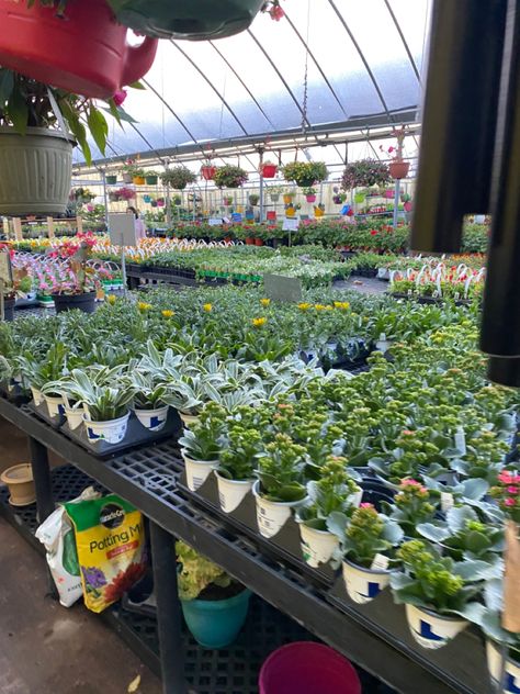 Plant Nursery Aesthetic, Plant Nursery Ideas, Plant Nursery Business, Senior Year Aesthetic, Nursery Photography, Joy Aesthetic, Nursery Plant, Tropical Greenhouses, Crafting Hobbies