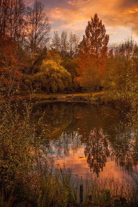 https://flic.kr/p/PhfuC6 | Autumn at the lake Fall Lake Aesthetic, Fall Lake, Landscape Photography Autumn, Autumn Lake Aesthetic, Lake In Autumn, Lake District In Autumn, Lake At Sunset, Sun Moon Lake, Forest Falls