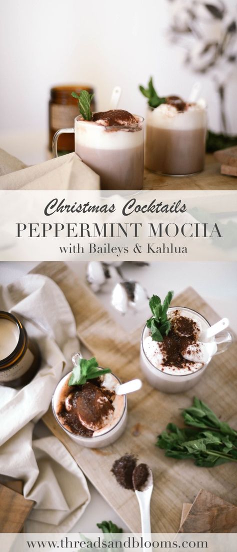 Christmas Cocktails using Kahlua and Baileys - the Peppermint Mocha Gingerbread Martini Recipe, Peppermint Cocktail, Holiday Cocktails Christmas, Baileys Cocktails, Cocktails Christmas, Baileys Recipes, Mint Mocha, Low Carb Snack, Healthy Recipes Easy Snacks