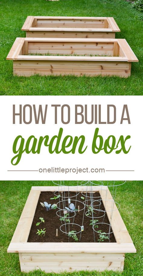 How to build a garden box - This step by step photo tutorial shows exactly how to make one! Build A Garden, Building Raised Garden Beds, Building A Raised Garden, Diy Raised Garden, Garden Boxes, Cool Ideas, Veggie Garden, The Grass, Raised Garden Beds