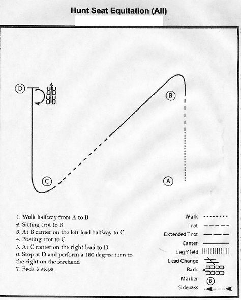 More pattern ideas Hunt Seat Equitation Patterns, Horse Patterns Riding, English Equitation Patterns, Huntseat Equitation, Equitation Patterns, Horse Drills, Equitation Aesthetic, Showmanship Patterns, Horsemanship Patterns