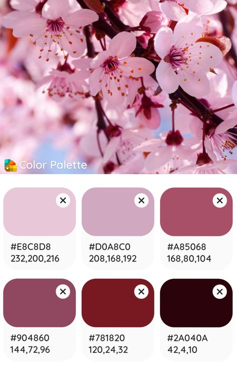 Sakura Color Palette, Cherry Blossom Color Palette, Cherry Color Palette, 2025 Bujo, Sakura Wedding, Pink Wedding Decorations, Art Test, Color Forecasting, Spring Palette