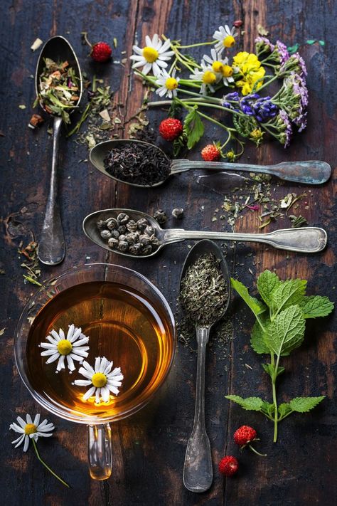 Herbal Tea Photography, Tee Kunst, Tea And Flowers, Tea Photography, Magia Das Ervas, Herbal Teas Recipes, Herbal Tea Blends, Herbal Teas, Tea Art