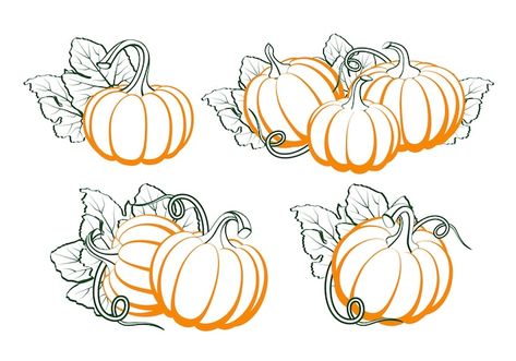 Pumpkin Leaves Drawing, Jesenske Dekoracije, Fall Leaves Drawing, Leaves Silhouette, Drawing Autumn, Zombie Pumpkins, Types Of Pumpkins, Vegetable Drawing, Leaves Sketch