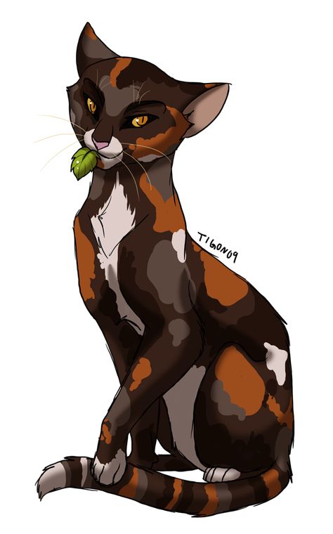 Spottedleaf DeviantART Cat Drawing Reference, Cat Fanart, Cat Warriors, Cat Behaviour, Warrior Cats Series, Warrior Cats Books, Cats Books, Cat Brain, Warrior Cats Fan Art