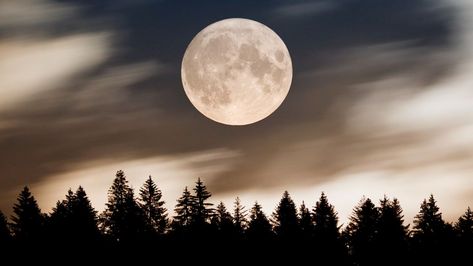 Moon Spiritual, Summer Triangle, Sturgeon Moon, Moon Meaning, Moon Orbit, Next Full Moon, Old Farmers Almanac, Moon Calendar, Super Moon