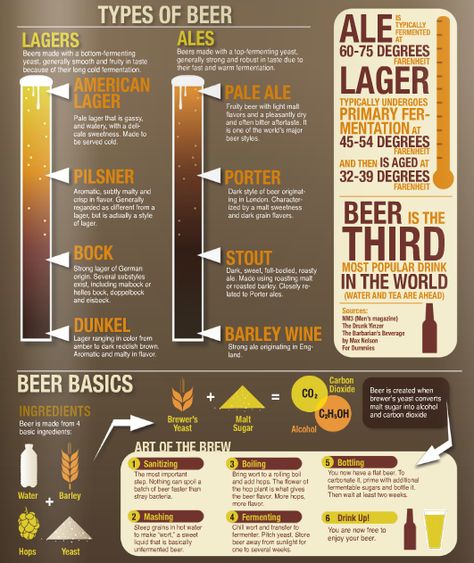 Types of Beer www.avacationrental4me.com Beer Infographic, Beer Calories, Beer Facts, Beer Types, Beer Guide, Types Of Beer, Beer 101, Info Board, Home Brewing Beer