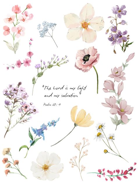 "The Lord is my light and my salvation"  Psalm 27: 1 The Lord Is My Light And My Salvation, Your In My Prayers, Prayer Board Inspiration, Jesus Flowers, Bible Verse Psalms, Jesus Quotes Inspirational, Psalm 27 1, The Lord Is My Light, Cute Bible Verses