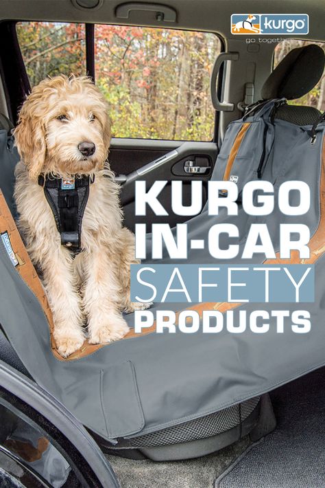 Check out our comprehensive guide for all Kurgo In-Car Safety Gear: https://bit.ly/2pyeYUR Kurgo Dog Harness, Dog Car Harness, Dog Car Safety, Car Harness, Walking Harness, Dog Car Seats, Hiking Dogs, Dog Safety, Dog Car