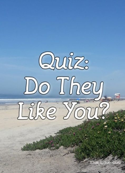 Quiz: Do They Like You? How To Know If They Like You, How To Make Your Crush Like U Back Tips, Do They Like Me, Does He Like You, Crush Quizzes, Someone Like U, When You Like Someone, Relationship Quiz, Love Quiz