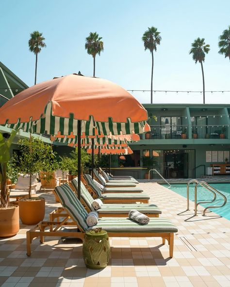 Who would have thought that cheetahs could chill out so well a the Palihotel in Hollywood? But hey, it’s not just a wild dream anymore…… | Instagram Old Hollywood Pool Party, The Beverly Hills Hotel Aesthetic, Beverly Hills Hotel Aesthetic, Hollywood Architecture, Pool Styling, Oasis Aesthetic, Residential Compound, Beach Motel, Pool Deck Decorations