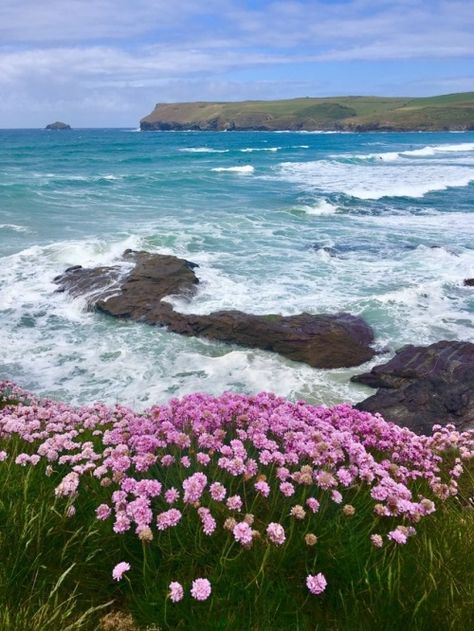 undefined Cornwall Surfing, Polzeath Cornwall, Cornwall Garden, Uk Beaches, Eden Project, Landscape Photography Nature, Vintage Soul, Nature Painting, Summer 24