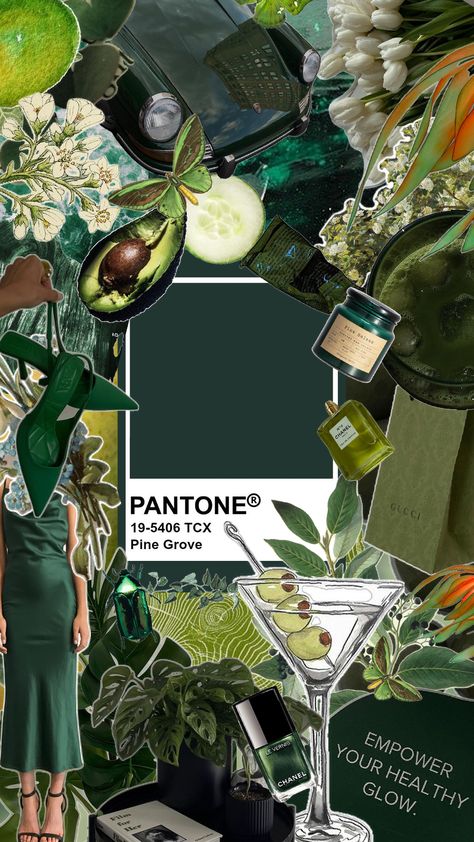 Green Collage, Color Collage, Use Case, Pantone Color, Mood Board, Elephant, Wallpapers, Collage, Green