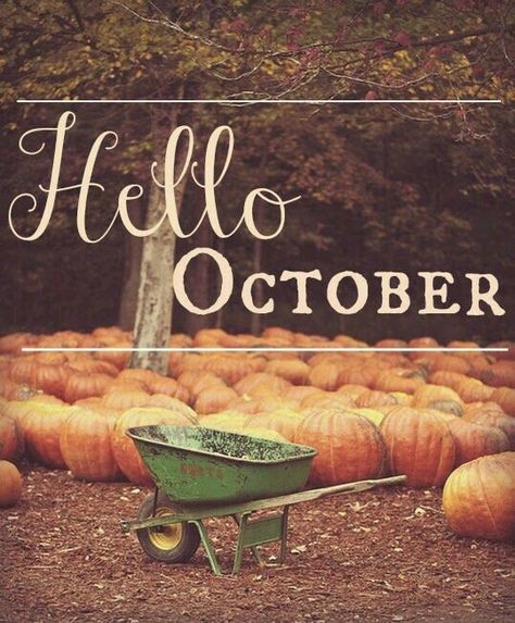 1st Day Of October, Happy October 1st, October Libra, 1st October, Hello October, Harvest Thanksgiving, Happy October, Days And Months, October Halloween