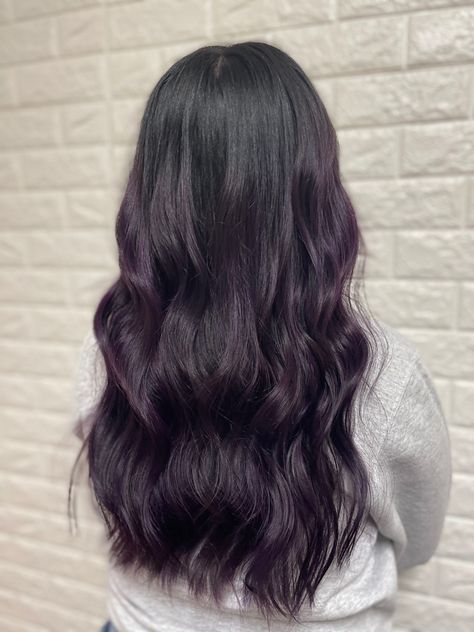 Black Hair Dyed Purple, Dark Purple Hair On Black Hair, Black Hair With Purple Tint Dark, Purple Color On Black Hair, Black Hair With Deep Purple Highlights, Dark Violet Highlights On Black Hair, Purple Hair Color On Black Hair, Dark Hair Purple Balayage, Black Hair With Tint Of Purple