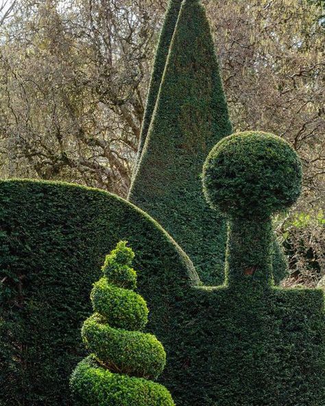 Clive Nichols on Instagram: "Hope your Saturday plans are shaping up as nicely as the topiary in the herb garden at @york_gate_garden 🌳👌🏼 . . . . . . #topiary #yewtopiary #boxtopiary #clippedtoperfection #gardenshapes #shapingup #spiralling #topiarygarden #yorkgate #yorkgategarden #greengarden #evergreen #noflowersneeded #gardeninspiration #topiaryhedge #topiarylover_ #englishgarden #artsandcraftsgarden #perennialgrbs #horticulturist #horticulturaltherapy #aestheticallypleasing #gardenphotogr Saturday Plans, Gate Garden, Topiary Garden, Painting Aesthetic, Topiaries, Green Garden, Greenhouses, English Garden, Dream Garden