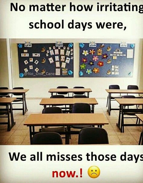 School Days Quotes Memories, School Days Quotes, Scrawled Stories, Quotes Memories, Days Quotes, School Life Memories, Friendship Wallpaper, School Life Quotes, Kids Quotes