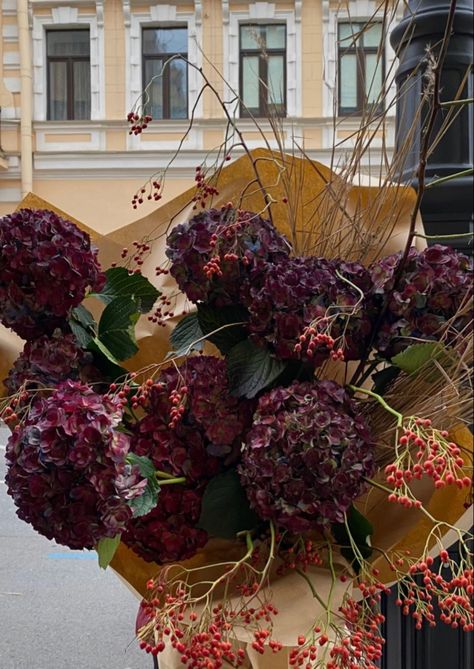 Winter Bouquet Aesthetic, Dark Red Hydrangea, Purple Fall Flower Arrangements, Red Hydrangea Bouquet, Exotic Flowers Bouquet, Winter Flowers Aesthetic, Flower Bouquet Hydrangea, Dark Hydrangea, Goth Bouquet