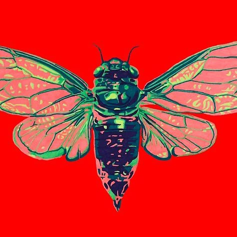 Voodoo Room, Art Distortion, Cicada Art, Red Insects, Mixed Medium Art, Art Puns, Twisted Art, Insect Design, Woodcut Tattoo