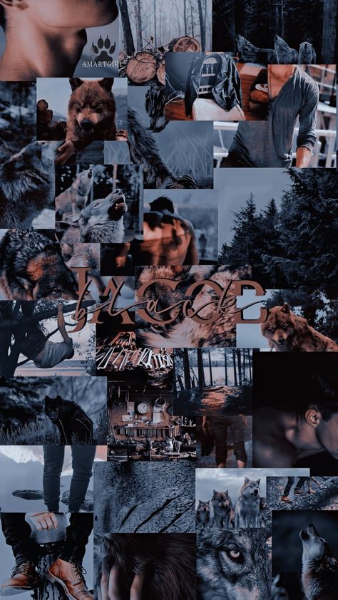 Jacob Black Wallpaper, Jacob Black Aesthetic, Quileute Tribe, Pleasing Wallpapers, Twilight Wolf Pack, Jacob Black Twilight, Jacob And Bella, Twilight Jacob, Twilight Wolf