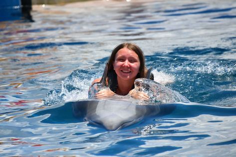 What an unbelievable, once-in-a-lifetime experience swimming with dolphins at Marineland in St. Augustine, Florida! We had an incredible time as a family with our dolphin, Zac! We'll never forget it! Plan a St. Augustine trip. #floridashistoriccoast #staugustine #pontevedrabeach #lovefl #swimwithdolphins #dolphinencounter #dolphins #AOMExploresHistoricFL #lovetotravel #travelblogging #travellifestyle #travelpreneur #ad #swimmingwithdolphins #touchdolphin #familymemories #familyvacation #aom Swimming With Dolphins Pictures, Swim With Dolphins Florida, Swimming With Dolphins, Hawaii Swimming With Dolphins, Bottlenose Dolphin, Dolphin Memes, Dolphin Meme, Ponte Vedra Beach, Marine Mammals