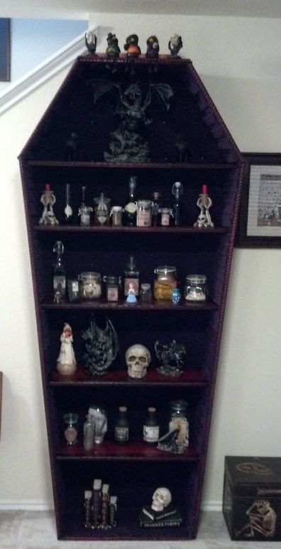 . Diy Coffin Shelf, Coffin Shelves, Goth Houses, Goth Bedroom, Gothic Bedroom, Gothic Furniture, Goth Home, Goth Home Decor, Dark Home