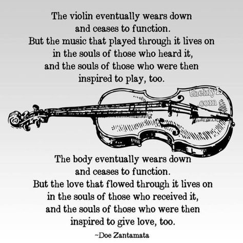 Violin Quotes, Orchestra Music, Learn Violin, Music Jokes, Violin Music, Music Humor, I Love Music, Music Love, English Lessons