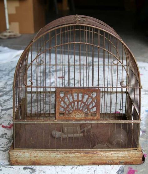 Vintage Crown Bird Cage Repurpose Bird Cage, Antique Bird Cage Decor Ideas, Repurposed Bird Cage Ideas, Vintage Bird Cages, Vintage Bird Cage Decor, Birdcage Planter, Planter Designs, Antique Bird Cages, Cage Decor