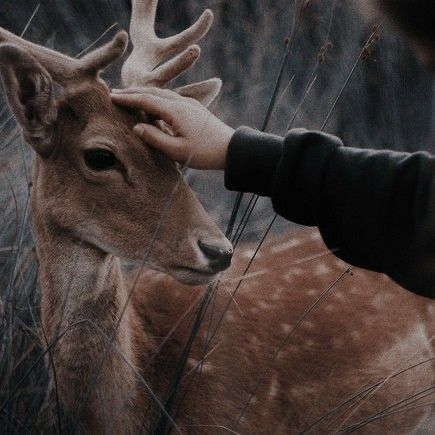 Lily Evans Aesthetic, Evans Aesthetic, Aesthetic Marauders, Marauders Aesthetic, Ancient Gods, Nature Goddess, Wood Elf, Lily Evans, Sun Moon Stars