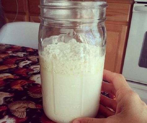 Como fazer kefir, o melhor de todos os probióticos | Cura pela Natureza Milk Kefir, Bulletproof Coffee, Milk Recipes, Fermented Foods, Kefir, Kombucha, Nutrition Tips, Alternative Medicine, Veggie Recipes