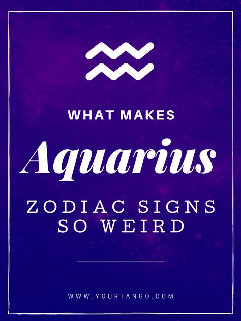 Aquarius Water Bearer, Aquarius Signs, Aquarius Astrology, Zodiac Sign Aquarius, Leo And Aquarius, Aquarius Zodiac Sign, Zodiac Aquarius, Aquarius Truths, Aquarius Life