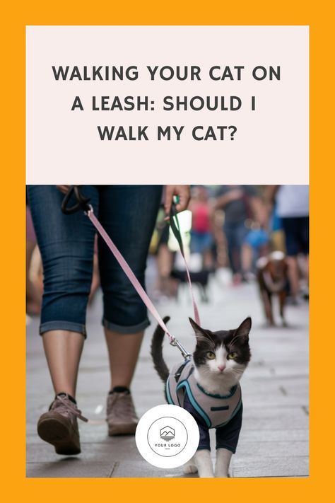 Person walking a black and white cat on a leash in a busy area. Taking Cats For Walks, How To Teach Loose Leash Walking, How To Train A Dog To Walk On A Leash, Walking A Cat On A Leash, Aggressive Animals, Loose Leash Walking, Walking For Health, Cats Outside, Best Cat Food