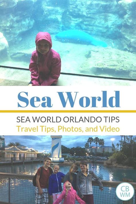 Sea World, Orlando travel tips for families. Get travel tips for going to Sea World, Orlando. Read about the rides, the shows, the exhibits, and where to stay. Video included! #seaworld #seaworldorlando #familytravel Seaworld (orlando), Sea World Orlando, Great Vacation Spots, Orlando Parks, Seaworld Orlando, Orlando Travel, Road Trip With Kids, Universal Orlando, Florida Vacation