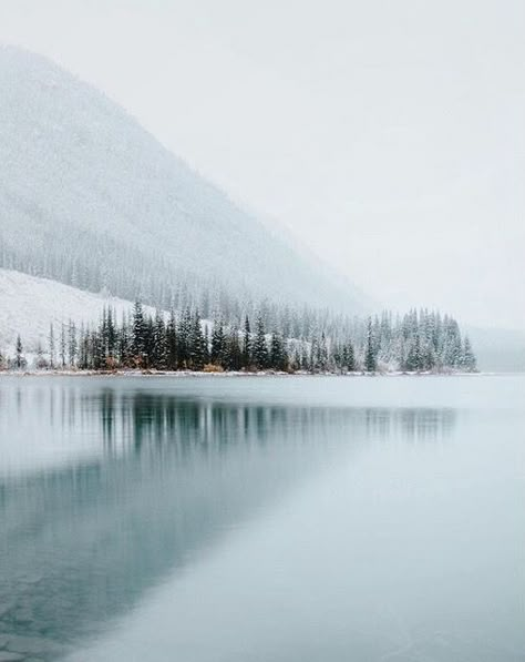 Mountains And Trees, Winter Schnee, Winter Szenen, Foto Tips, Frozen Lake, Winter Beauty, Winter Wonder, Into The Wild, Cold Outside