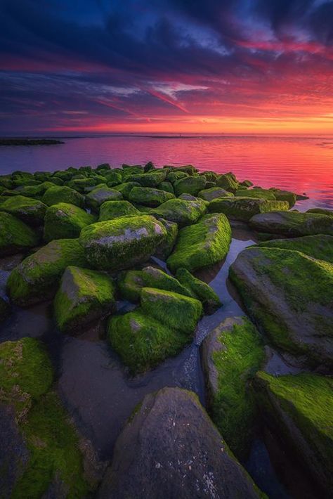 Just some green rocks with a nice sunset at the Dutch coast Katwijk the Netherlands (OC)[1280x1920] Green Rocks, Nice Sunset, Good Morning Sunshine, Fitness Health, Health Wellness, Nature Travel, Nature Pictures, Sunrise Sunset, Beautiful Landscapes