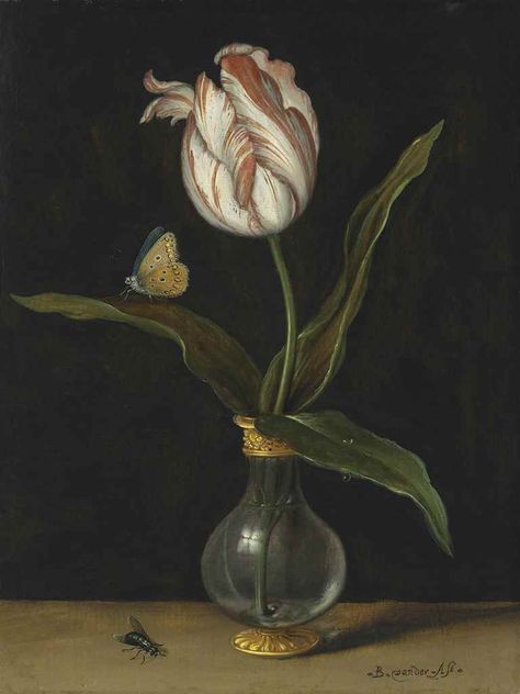 Balthasar van der Ast (Middelburg ?1593/4-1657 Delft), The ‘Zomerschoon’ tulip, signed ‘· B · van der · Ast ·’ (lower right), oil on panel, 10½ x 7 7/8 in. (26.5 x 20 cm) Dutch Still Life, Tulip Painting, Hur Man Målar, Botanical Painting, Still Life Art, Arte Floral, Still Life Painting, Decor Rustic, Delft