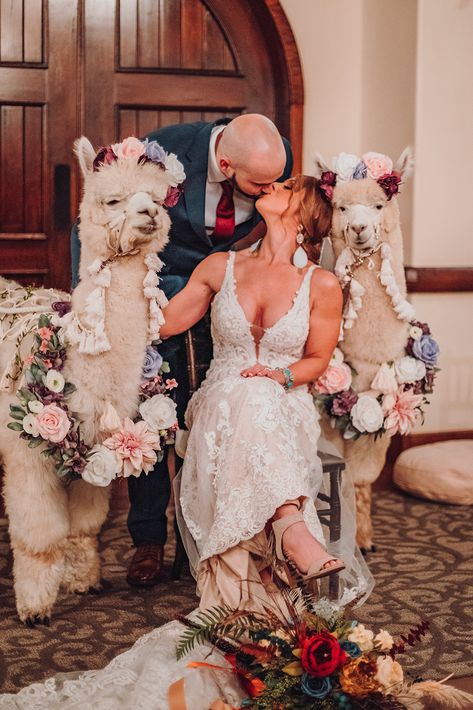 Incorporating Animals Into Wedding, Petting Zoo Wedding, Animals Getting Married, Petting Zoo At Wedding, Alpaca Wedding Photos, Texas Party, Wedding Reception Hall, Reception Hall, Best Wedding Venues