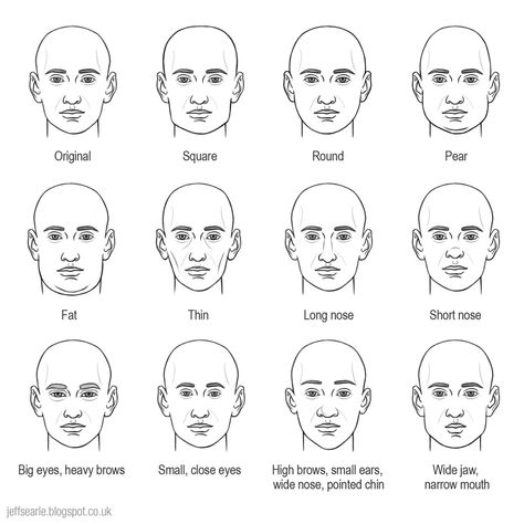 Types Of Jawlines, Jawline Shapes, Heads Drawing, Draw Show, Head Types, Nose Types, Draw People, Nose Drawing, Drawing Heads