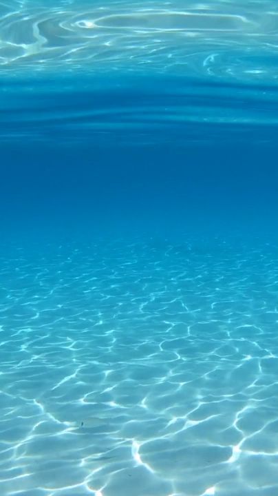 Ocean Photography Underwater, Blue Ocean Wallpaper, Summer Underwater, Video Blue, Water Video, 숲 사진, No Wave, Underwater Wallpaper, Water Wallpaper