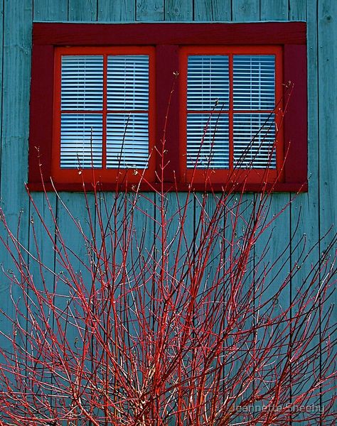 Blue And Red House Exterior, Shed Conversion, Shed Conversion Ideas, Red Windows, Blue Barn, Blue Cottage, Art And Crafts, House Color, Wooden Houses