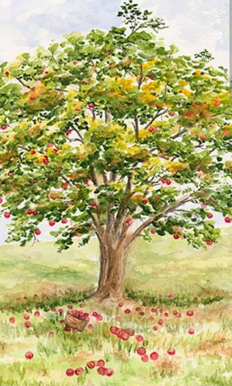 Apple Tree Illustration, Apple Tree Art, Apple Tree Painting, Painting Apple, Tree Wallpaper Iphone, Art Apple, Tree Watercolor Painting, Pine Tree Tattoo, Apple Painting