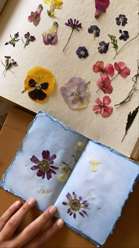 Pressed Flowers Book, Dried Up Flowers, Pressed Flowers Ideas, Escuela Aesthetic, Stars By The Pocketful, Flower Art Ideas, Dried Flowers Art, Projects To Do At Home, Flower Graduation