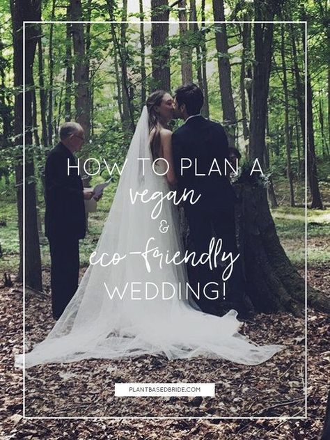 How To Plan A Vegan & Eco-Friendly Wedding // Plant Based Bride Plant Based Wedding, Wedding Plants, Ethical Wedding, Vegan Wedding, Eco Wedding, Dream Destination Wedding, Sustainable Wedding, Eco Friendly Wedding, Modest Wedding