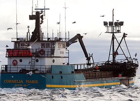 Fishing Ship, Wave Boat, Wooden Model Boats, Deadliest Catch, Alaska Fishing, Shrimp Boat, Crab Fishing, Fishing Vessel, King Crab