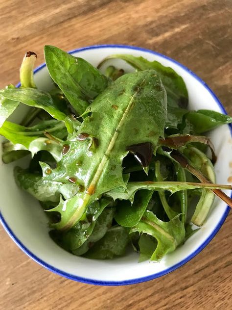 Dandelion Salads, Dandelion Salad, Kong Recipes, Honey Balsamic Vinaigrette, Hot Bacon Dressing, Life In Canada, Bacon Dressing, Balsamic Vinaigrette Dressing, Honey Balsamic