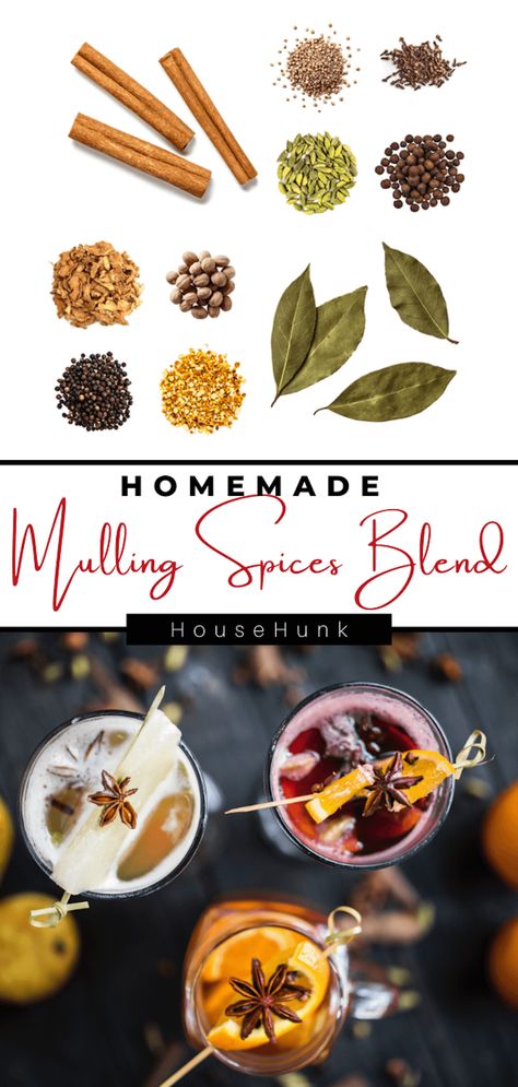 Transform your cider or wine into a flavor-packed delight with our Homemade Mulling Spices Blend. With a touch of cinnamon, cloves, and orange zest, this aromatic creation will transport you to a cozy winter wonderland. Get the recipe now! Mulled Wine Spice Recipe, Diy Mulling Spices For Cider, Mulled Spices Recipe, Mulling Spice Recipe, Homemade Mulling Spice Recipe, Mulling Spices Gift, Mulled Wine Spices, Holiday Beverages, Jar Recipes