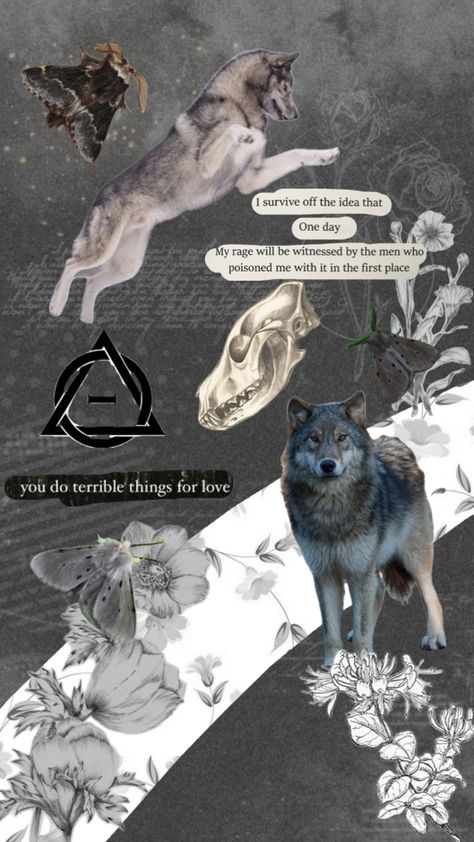 Wolf Therian, Werewolf Stories, Wolf Stuff, Wolf Wallpaper, Simple Phone Wallpapers, A Wallpaper, Grey Wolf, Black Wolf, Wallpaper For Your Phone