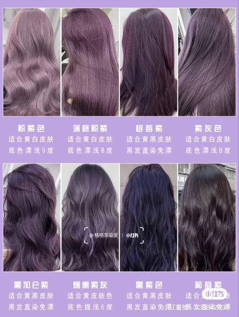 Dull Hair Color, Tinted Dark Hair, Korean Hair Color Purple, Ashy Hair Color Ideas, Purple Ash Hair Color, Purple Hair Korean, Purple Hair Shades, Ashy Purple Hair, Underlayer Hair Color