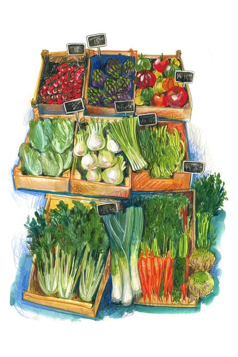 Vegetables Illustration Drawing, Vegetable Market Illustration, Vegetables Illustration Design, Fruit Market Drawing, Vegetable Market Drawing, Grocery Drawing, Vegetable Garden Drawing, Fruits And Vegetables Drawing, Produce Drawing